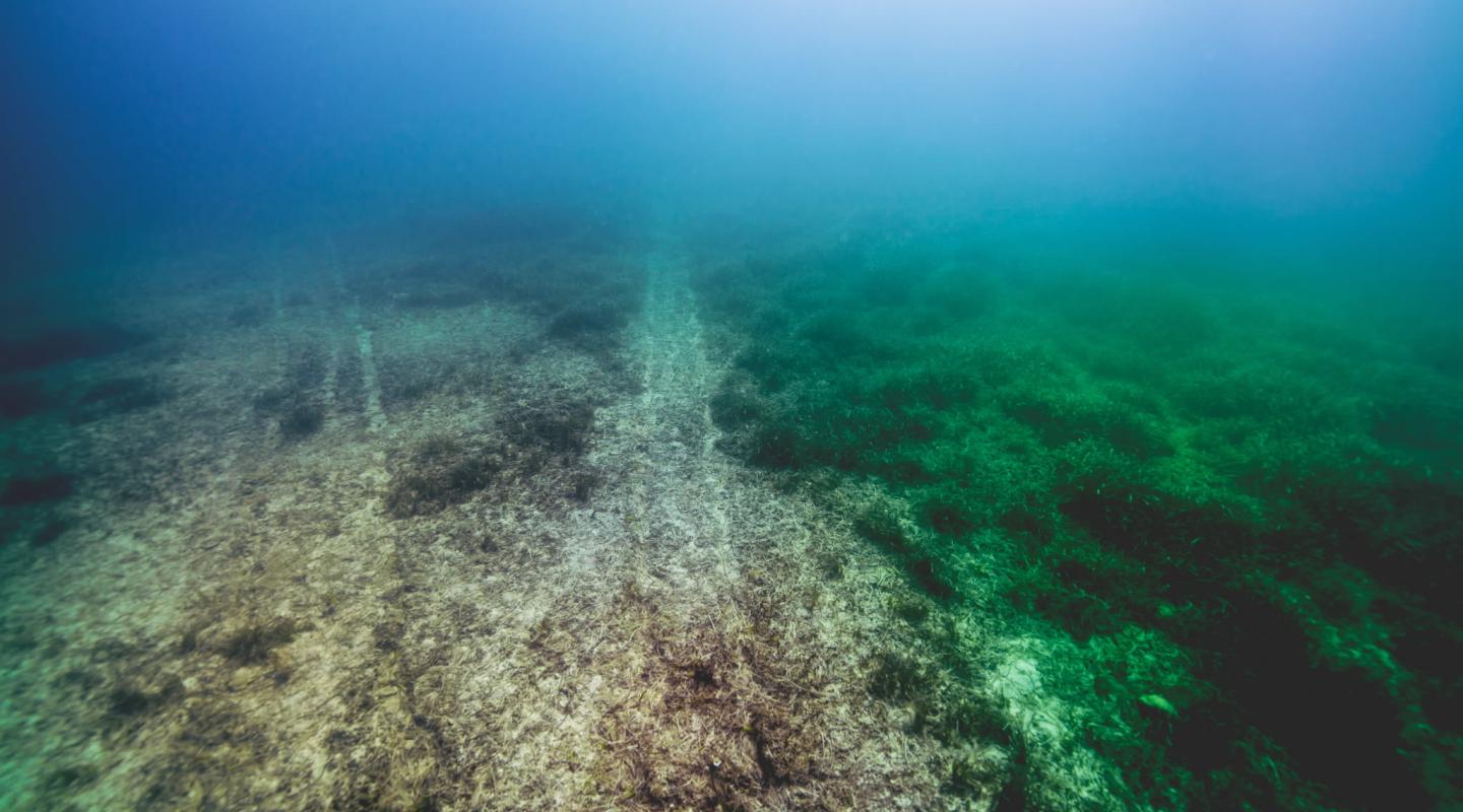 Boat Charter Mallorca carbon offset