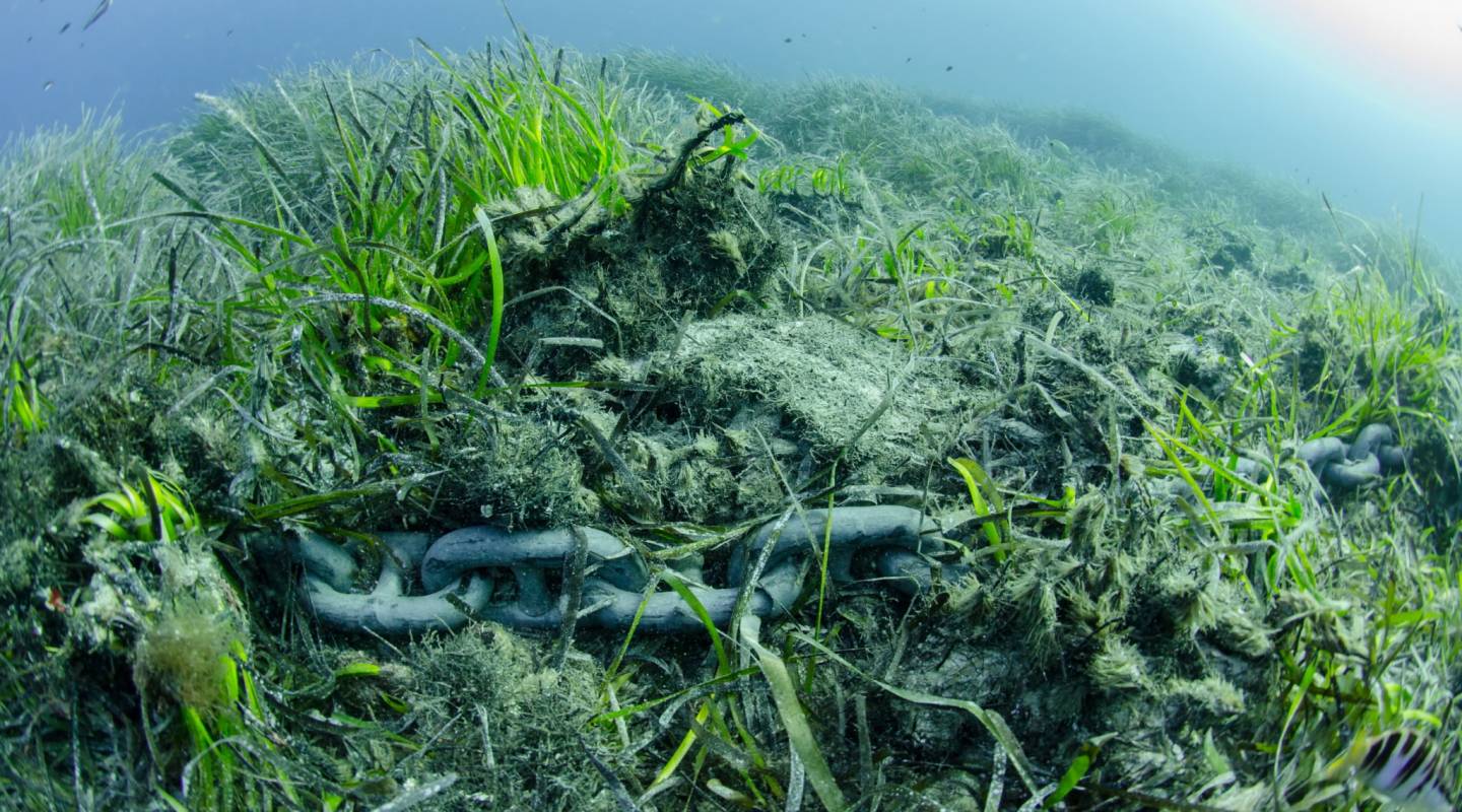 Boot Chartern nachhaltig Mallorca